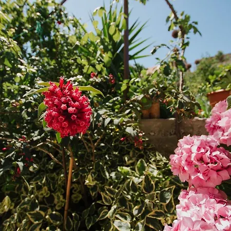 Blaise * Τρογκίρ