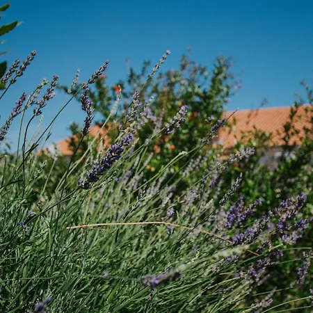 Blaise Апартаменти *